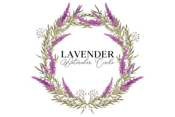 Avender Circle Watercolor Illustration and Illustrations