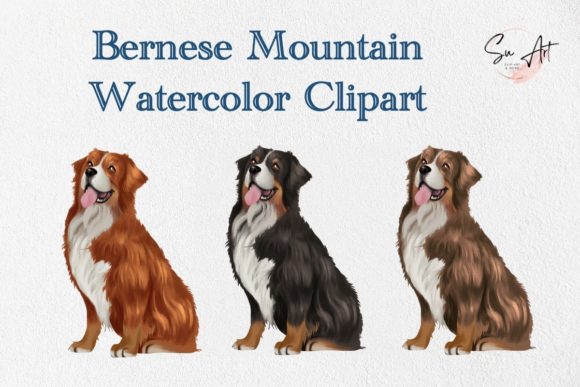 Berness Mountain Watercolor Dog Clipart and Illustrations