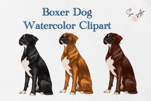 Boxer Dog Watercolor Clipart and Illustrations