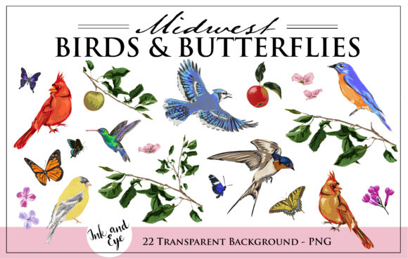 Midwest Watercolor Birds and Butterflies Illustrations