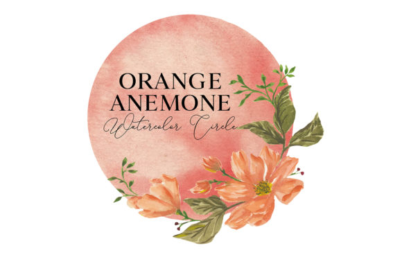 Orange Anemone Circle Watercolor