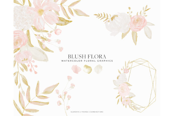 Pink Blush Watercolor Flowers Illustrations
