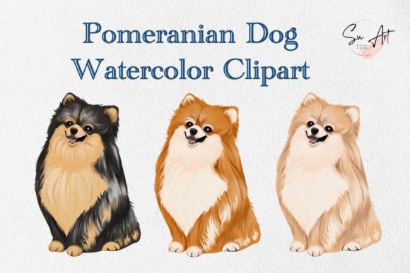 Pomeanian Dog Watercolor Clipart and Illustrations