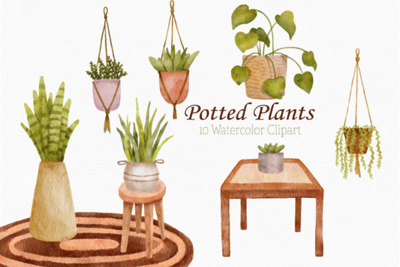 Potted Plant Watercolor Clipart Home Illustrations