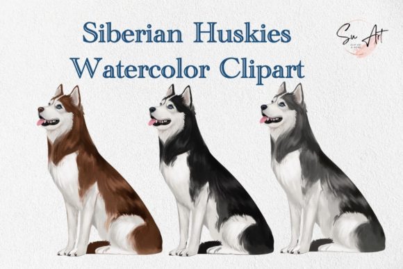 Siberian Husky Dog Watercolor Clipart and Illustrations