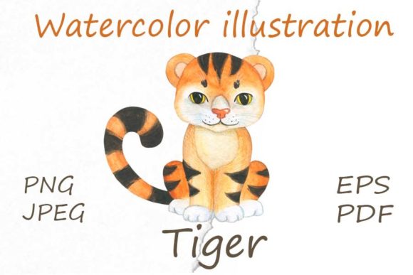 Tiger. Watercolor Illustration. Illustrations