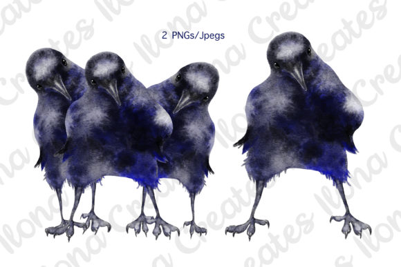 Watercolor Black Crows Clip Art Set and Illustrations