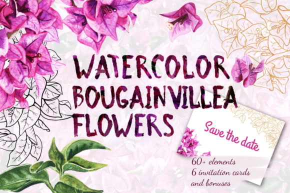 Watercolor Bougainvillea