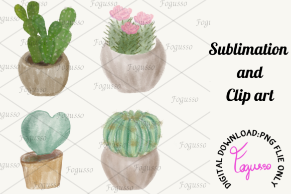 Watercolor Cactus Png, Clip Art Illustrations