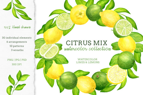 Watercolor Citrus Fruits Clipart Set & Illustrations