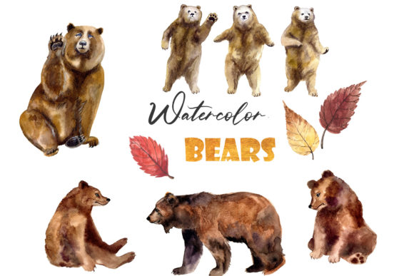 Watercolor Clipart. Bear Cute Clipart