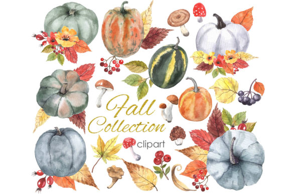 Watercolor Clipart. Hand Drawn Fall Png