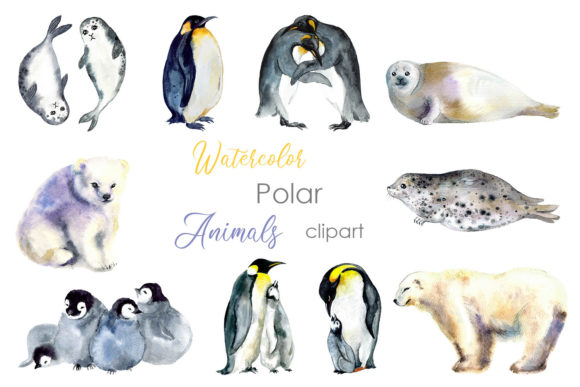 Watercolor Clipart. Hand Painted Animal Illustrations