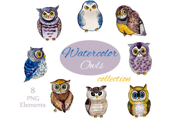 Watercolor Clipart. Woodland Owl Clipart