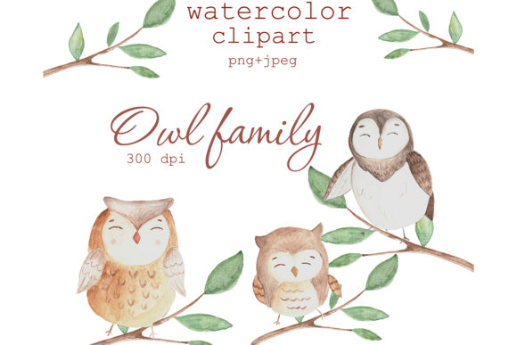Watercolor Cute Owl Family Clipart and Illustrations