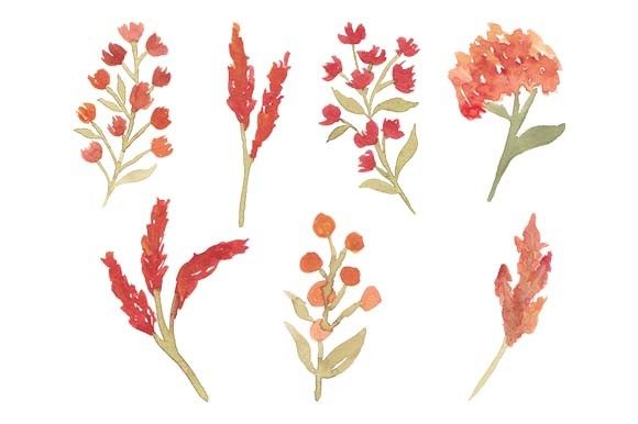 Watercolor Floral Set Element Painting and Illustrations