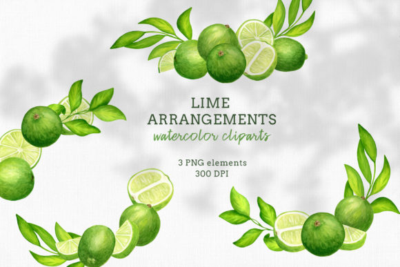 Watercolor Fruit Lime Arrangements Illustrations