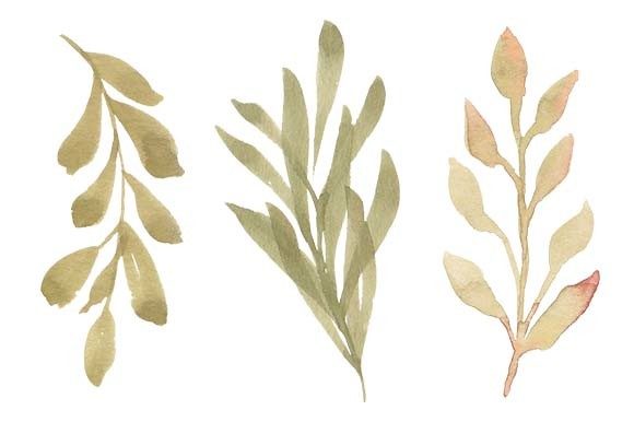 Watercolor Leaf Greenery Painting Set