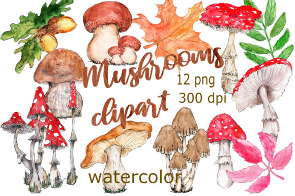 Watercolor Mushrooms Clipart and Illustrations
