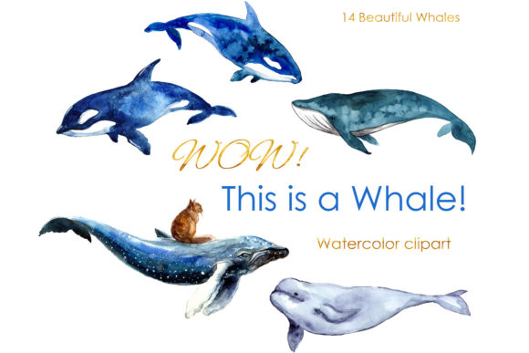Watercolor Ocean. Watercolor Clipart Png