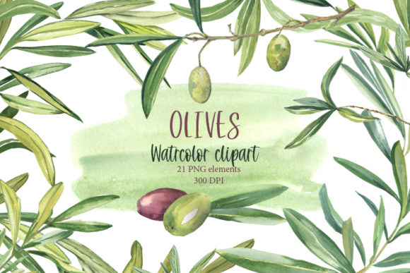 Watercolor Olive Clipart. Twigs, Spring. Illustrations