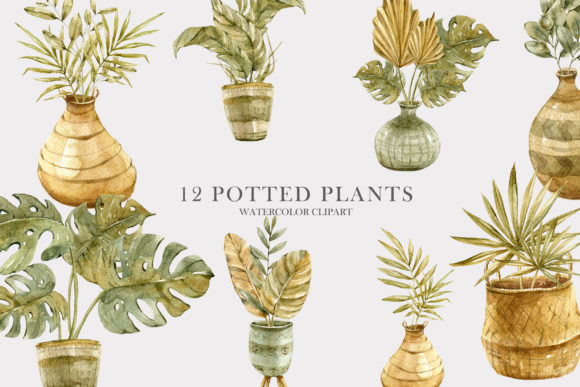 Watercolor Potted Boho Dried Plants Illustrations