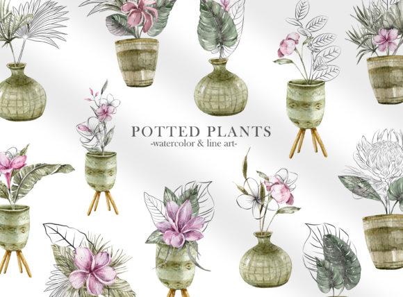 Watercolor Potted Plants Clipart and Illustrations
