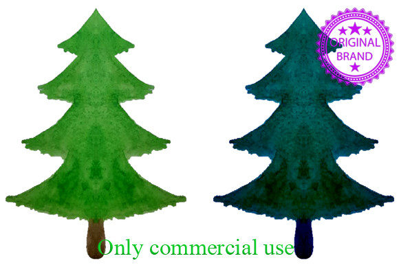 Watercolor Tree. Pine-tree Illustrations