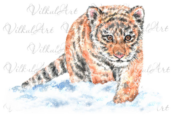 Watercolor Winter Baby Tiger Sublimation Illustrations
