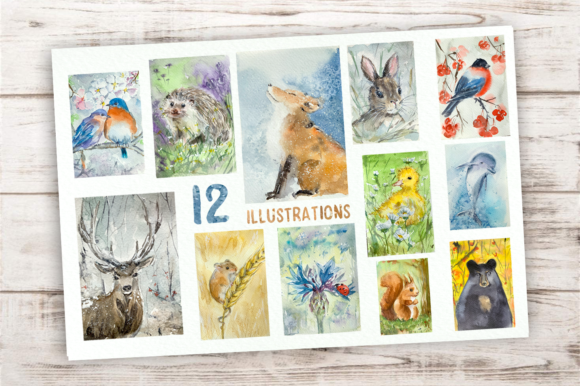 Watercolour Animal Year Bundle & Illustrations